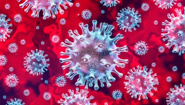 Imagem notícia Veja os cuidados para se prevenir contra o coronavírus 