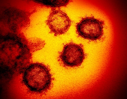 Imagem notícia Coreia do Sul já registra 1.146 casos de coronavírus confirmados