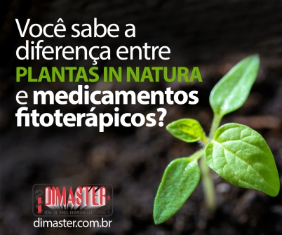 Imagem notícia Você sabe a diferença entre plantas in natura e medicamentos fitoterápicos?